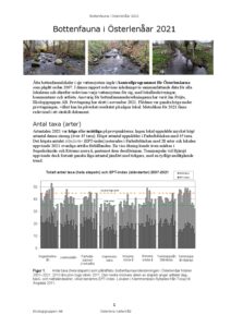 Bottenfauna i Österlenåar 2021