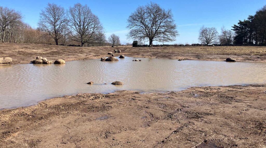LONA-våtmark i betesmark i Segesholmsåns avrinningsområde. Foto: Jenny Söderstedt